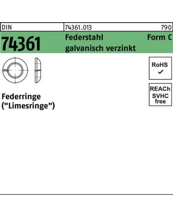 Federring DIN 74361
