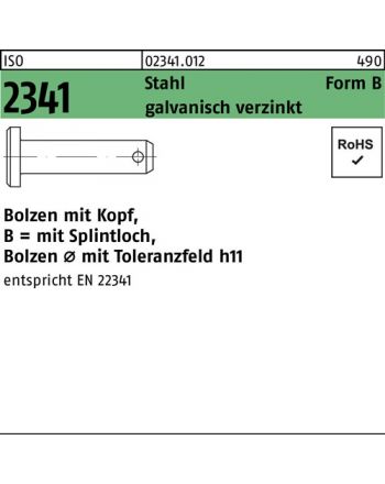 Bolzen ISO 2341 m.Kopf/Splintloch