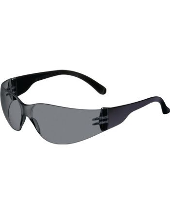 Schutzbrille Daylight Basic PROMAT