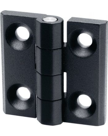 Scharnier GN 237 GANTER
