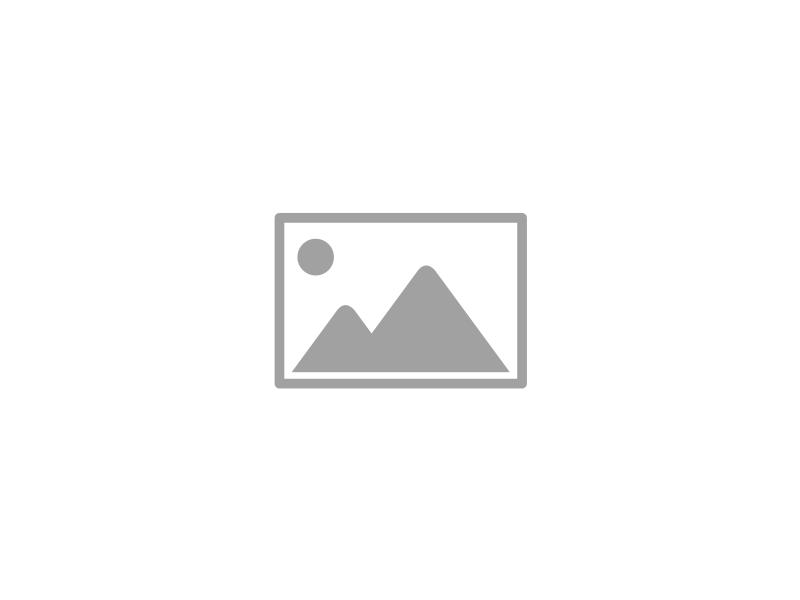 FLACHHOLZBOHRER 25X152MM